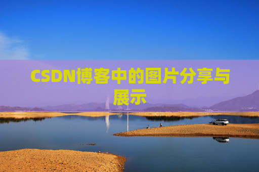 CSDN博客中的图片分享与展示